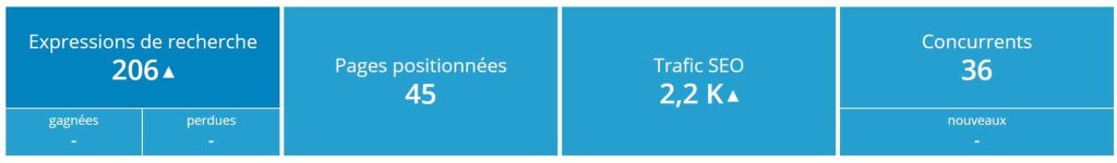 stats infocob seo