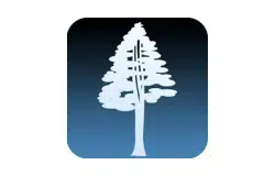 Sequoia